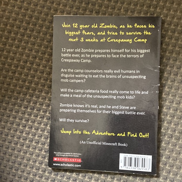 Diary of a Minecraft zombie: Book 6 zombie goes to camp - Picture 4 of 10